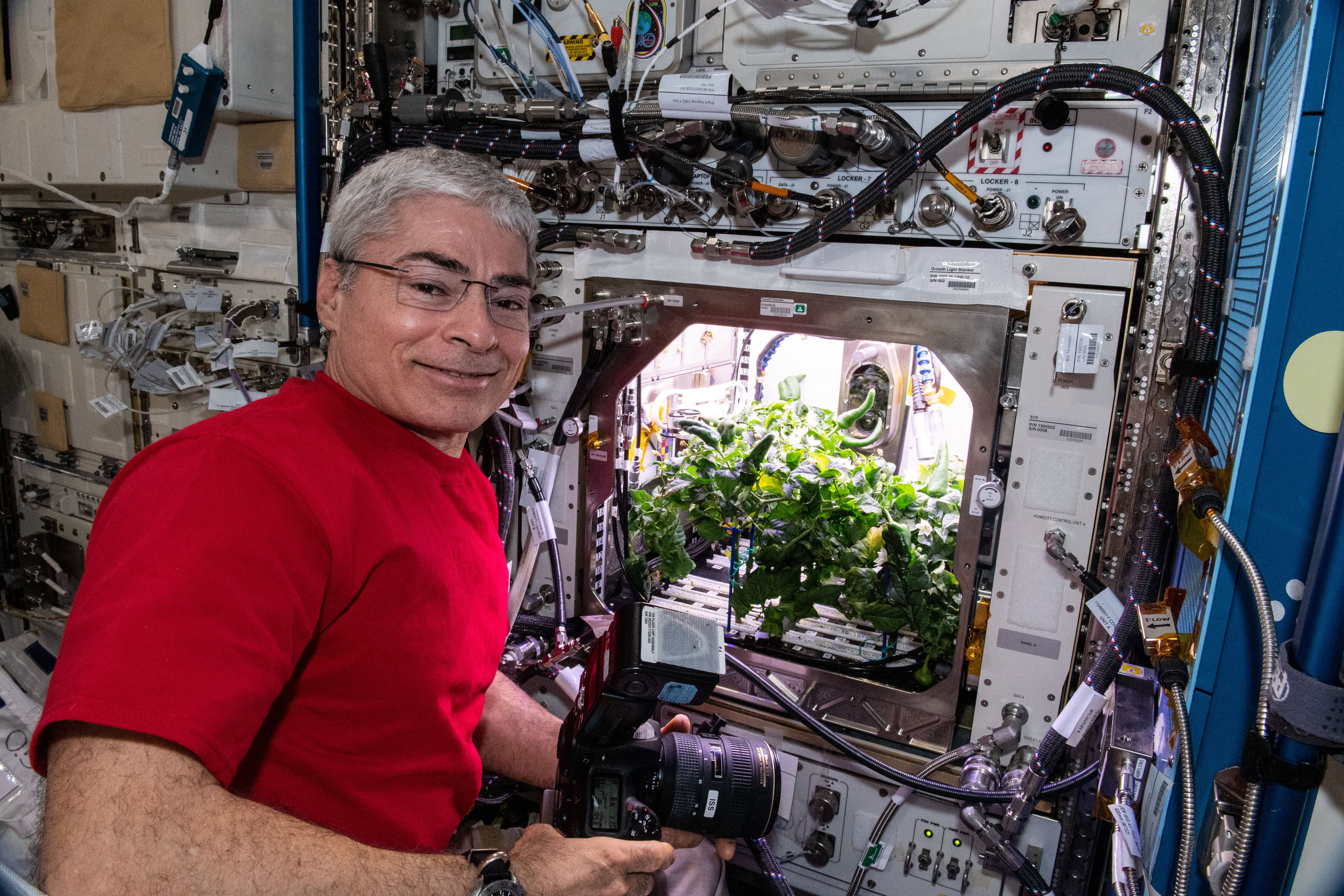 Modulo orbital repleto de equipamentos e um compartimento iluminado com plantas.